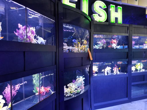 Tropical Fish Store «Elite Reef», reviews and photos, 8410 Wadsworth Blvd F, Arvada, CO 80003, USA