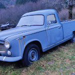Photo n° 3 de l'avis de Mickael.c fait le 07/01/2024 à 21:34 pour La Ferme de Jean à Saulxures-sur-Moselotte