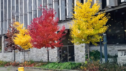 Observation Deck «Skydeck Chicago», reviews and photos, 233 S Wacker Dr, Chicago, IL 60606, USA
