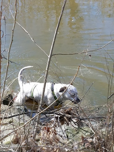 Park «Plum Creek Park», reviews and photos, Cherry St, Kent, OH 44240, USA