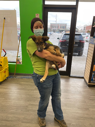 Pet Supply Store «Pet Supplies Plus», reviews and photos, 11525 S Saginaw St, Grand Blanc, MI 48439, USA