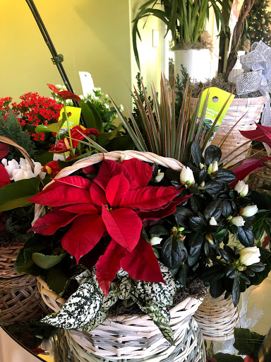 Florist «Grohe Florists», reviews and photos, 1313 McDonald Ave, Santa Rosa, CA 95404, USA