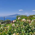 Photo n°2 de l'avis de Ezio.e fait le 27/06/2020 à 16:25 sur le  Dal Patriarca à Montechiaro