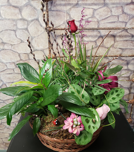 Florist «Carrolls Florist of Beverly», reviews and photos, 385 Cabot St, Beverly, MA 01915, USA