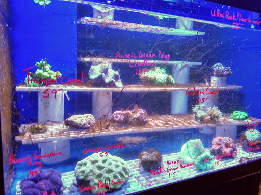 Pet Store «Pets Place II», reviews and photos, 120 E Rte 59, Nanuet, NY 10954, USA