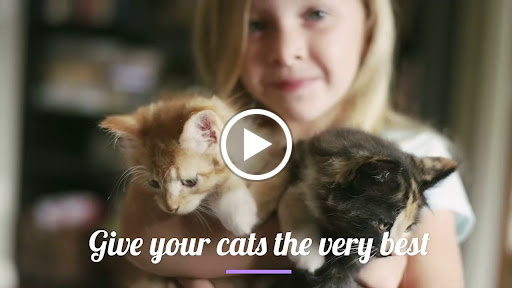 Pet Supply Store «The Pet Pantry», reviews and photos, 410 North St #162, Longwood, FL 32750, USA