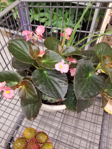 Supermarket «ALDI», reviews and photos, 150 Crossroads S Dr, Wentzville, MO 63385, USA