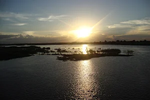 Rufiji River image