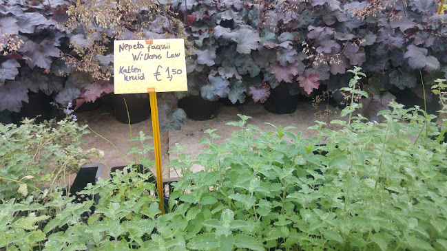 Knuiman Tuinplanten - Bloemist