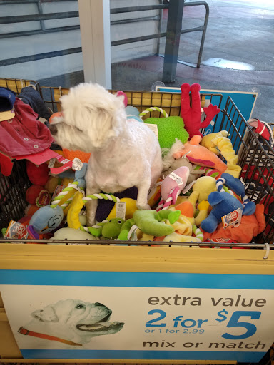 Pet Supply Store «Petco Animal Supplies», reviews and photos, 1121 5th St, Miami Beach, FL 33139, USA