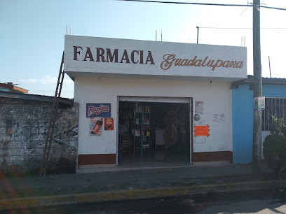 Farmacia Guadalupana, , Fraccionamiento Los Cafetales