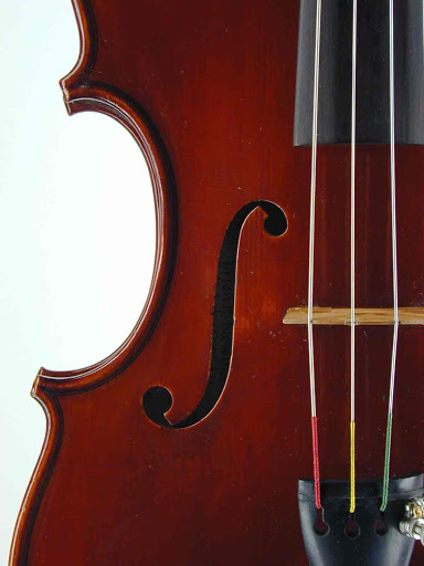 Winston Salem Violins Inc