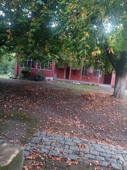 Liceo La Providencia