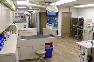 VCA Animal Health Hospital