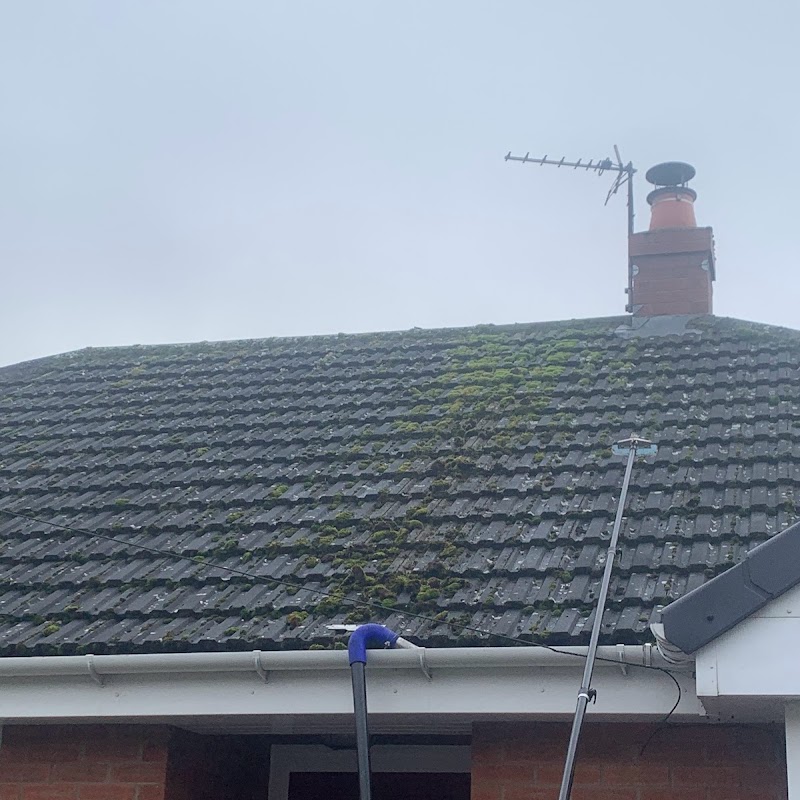Roof King Cleaning Solutions