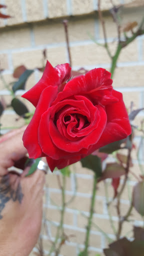 Amusement Park «Meadowmere Park», reviews and photos, 13610 Byars Rd, Grandview, MO 64030, USA