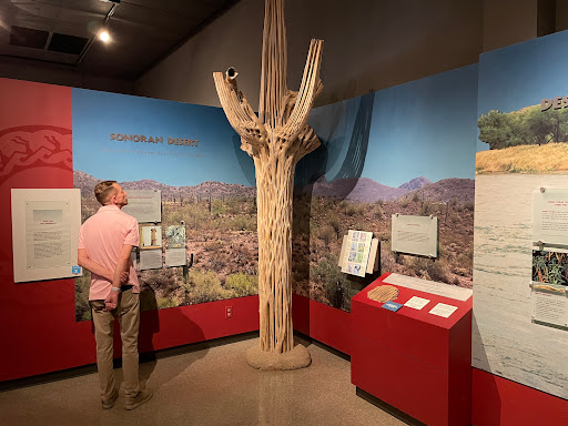 History Museum «Pueblo Grande», reviews and photos, 4619 E Washington St, Phoenix, AZ 85034, USA