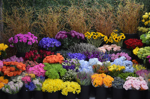 Florist «The Frugal Flower», reviews and photos, 736 Boston Post Rd, Sudbury, MA 01776, USA