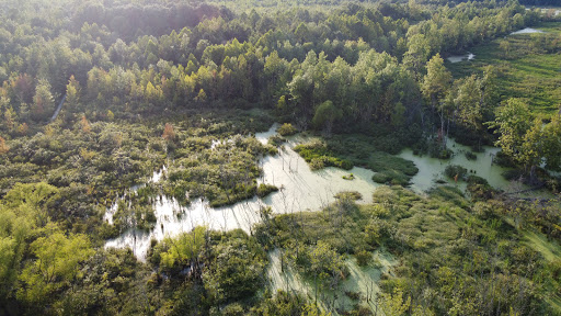 Nature Preserve «Beanblossom Bottoms Nature Preserve - Sycamore Land Trust», reviews and photos, N Woodall Rd, Ellettsville, IN 47429, USA