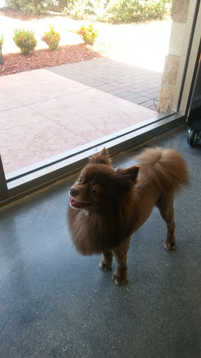 Pet Supply Store «Pet Supplies Plus», reviews and photos, 15880 San Carlos Blvd Ste 190, Fort Myers, FL 33908, USA