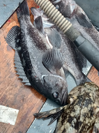 Sporting Goods Store «Rogue Outdoor Store», reviews and photos, 29865 Ellensburg Ave, Gold Beach, OR 97444, USA