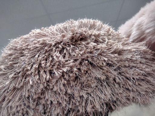 Clothing Store «Ross Dress for Less», reviews and photos, 581 Roosevelt Rd, Glen Ellyn, IL 60137, USA