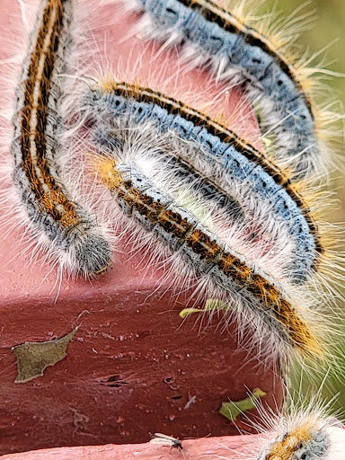 Plumber «Morgan Miller Plumbing», reviews and photos, 13911 Norby Rd, Grandview, MO 64030, USA