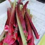 Photo n° 5 de l'avis de Pierrette.o fait le 05/06/2023 à 20:05 pour La Ferme du Logis à Jumeauville