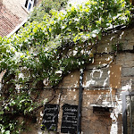 Photo n°2 de l'avis de Renato.r fait le 29/06/2023 à 13:57 sur le  Hinterhöfle, Wein-, Biergarten & mehr im Herzen der Altstadt à Volkach
