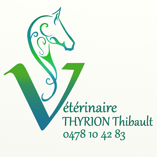 THYRION Thibault Vétérinaire Équin - Verviers