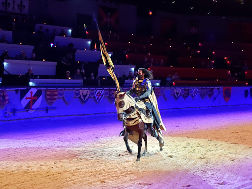 Dinner Theater «Medieval Times Dinner & Tournament», reviews and photos, 5900 Sugarloaf Pkwy #517, Lawrenceville, GA 30043, USA