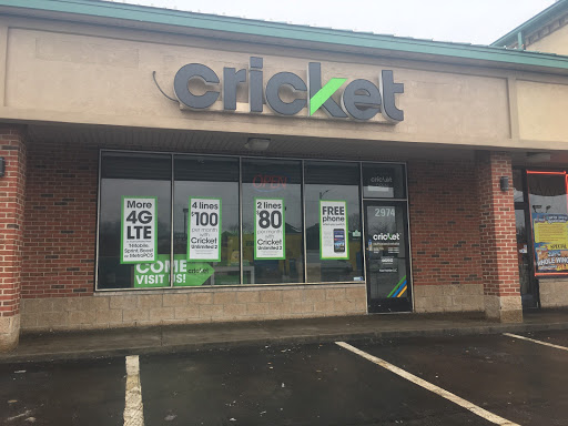 Cricket Wireless Authorized Retailer, 2974 W Davison St, Detroit, MI 48238, USA, 