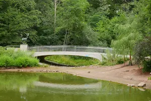 Duck pond (Eilenriede City Park) image