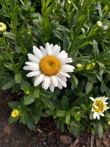 Park «Abernathy Greenway», reviews and photos, 70 Abernathy Rd NE, Sandy Springs, GA 30328, USA