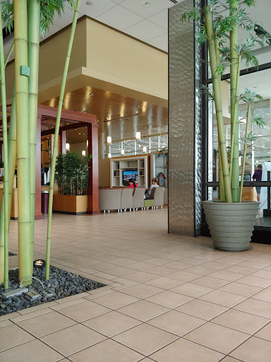 Toyota Dealer «Avondale Toyota», reviews and photos, 10005 Papago Fwy, Avondale, AZ 85323, USA