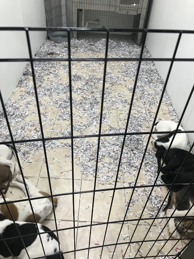 Pet Store «Pets Plus - Lansdale», reviews and photos, 555 S Broad St, Lansdale, PA 19446, USA