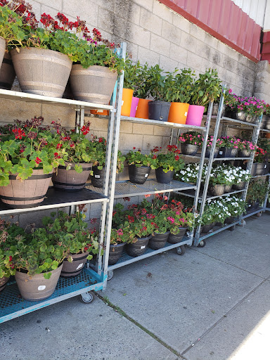 Warehouse club «BJ’s Wholesale Club», reviews and photos, 941 Rte 37 W, Toms River, NJ 08755, USA