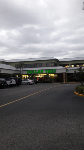 Dollar Store «Dollar Tree», reviews and photos, 4745 N Ocean Dr, Sea Ranch Lakes, FL 33308, USA