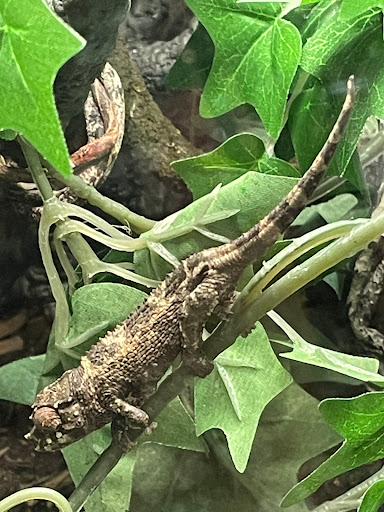 Pet Store «Carters Pet Mart», reviews and photos, 510 N Main St, Manteca, CA 95336, USA