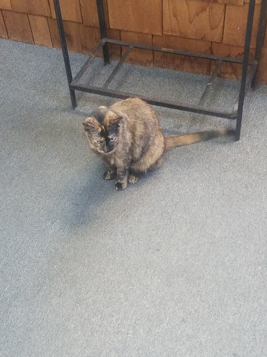 Pet Store «Hutch Pet Shop», reviews and photos, 103 Lake St, Kent, OH 44240, USA