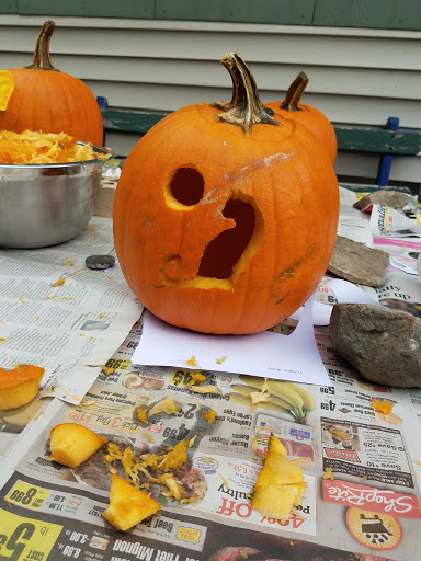 Farm «Sun High Orchards», reviews and photos, 19 Canfield Ave, Randolph, NJ 07869, USA