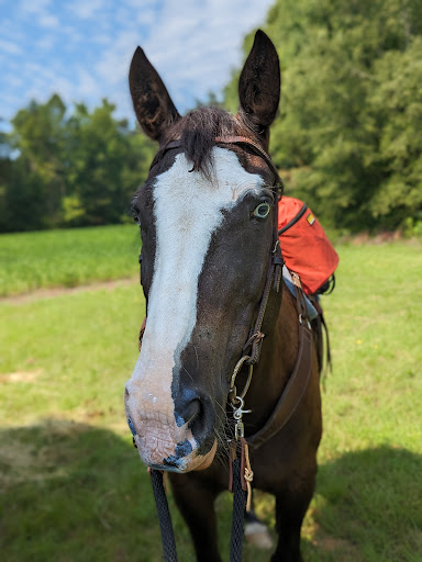 Bryan Park North – Equestrian Park