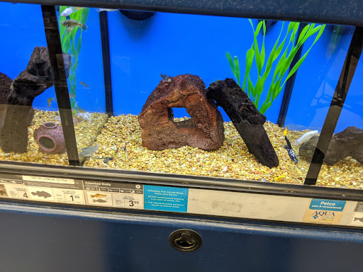 Pet Supply Store «Petco Animal Supplies», reviews and photos, 27111 167th Pl SE #113, Covington, WA 98042, USA