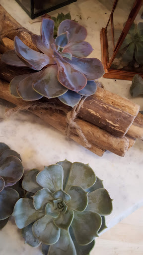 Florist «The English Garden Flower Shop», reviews and photos, 8 S Prospect Ave, Clarendon Hills, IL 60514, USA