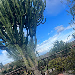 Photo n°1 de l'avis de Giuseppe.r fait le 12/11/2023 à 20:54 sur le  Il Rosmarino ristotipico à Librizzi