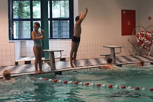 Swimming Aquamarant image