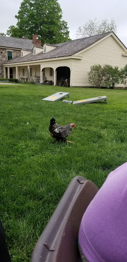 Historical Place Museum «Cobblestone Farm», reviews and photos, 2781 Packard Rd, Ann Arbor, MI 48108, USA