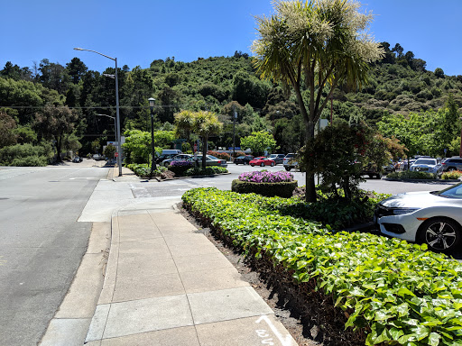 Shopping Mall «Crystal Springs Shopping Village», reviews and photos, 100 De Anza Blvd, San Mateo, CA 94402, USA