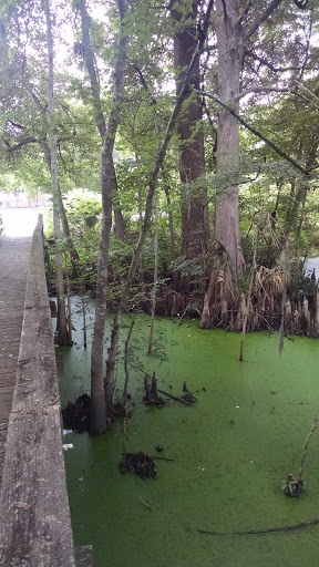 Park «Live Oaks Park», reviews and photos, 904 14th St, Port Royal, SC 29935, USA