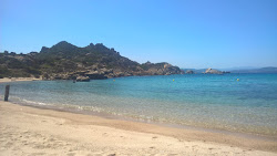 Cala D'alga beach'in fotoğrafı vahşi alan